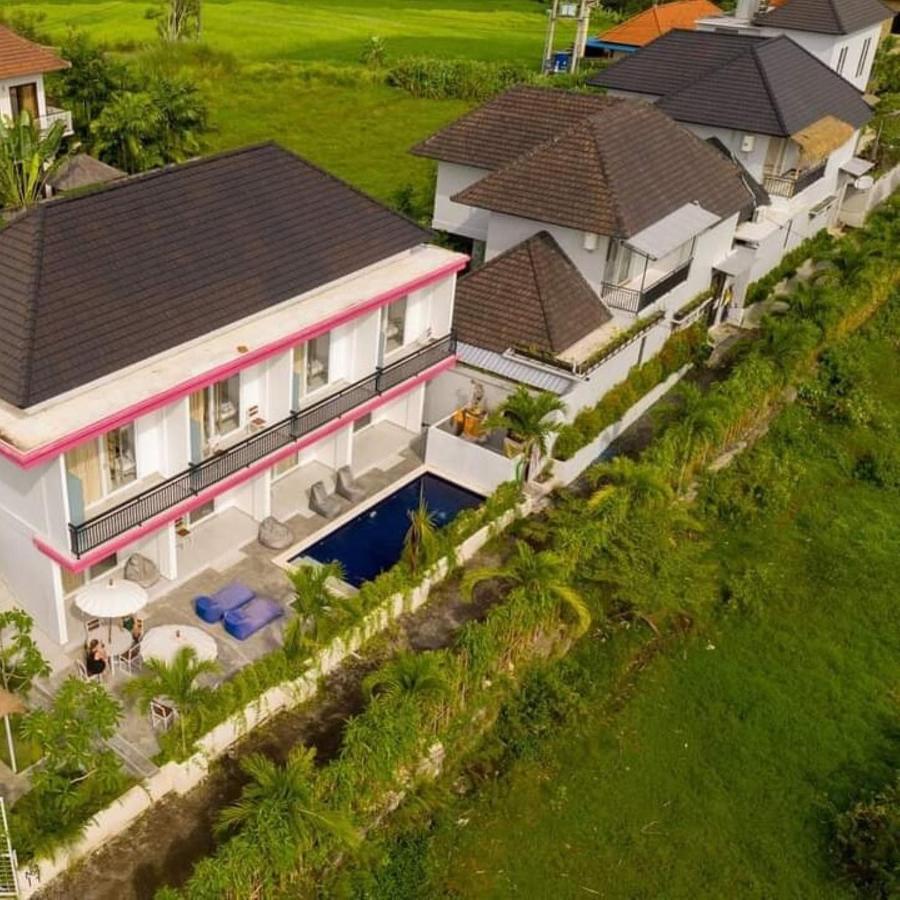Margarita Surf Hostel Canggu Luaran gambar